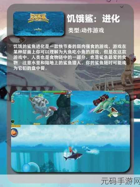 探秘末日废土,解锁失落的保险库——全新末日冒险生存游戏震撼来袭!