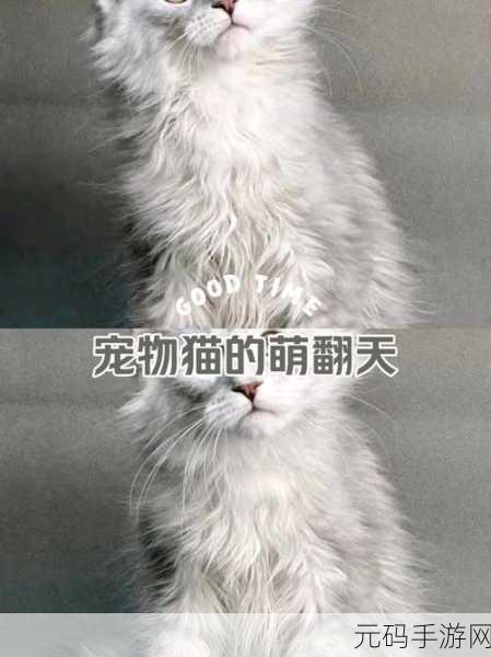 萌宠集结,智慧碰撞,宠物拼图匹配3掀起消消乐新热潮