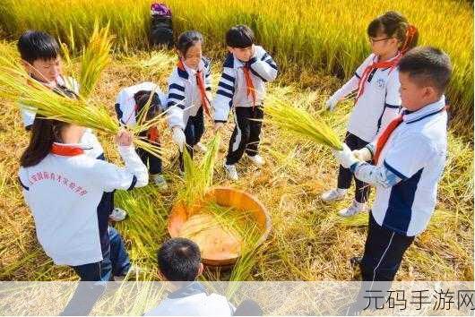 回归田园，畅享无限乐趣 —— 张同学的乡村生活无限体力免广告版火爆来袭！
