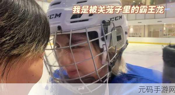 冰球激战燃情盛夏!冰球生活3D安卓版震撼来袭,尽享趣味竞技新体验