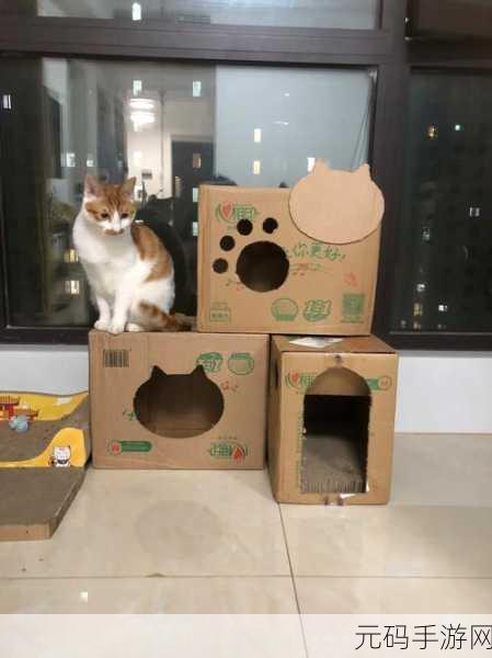 纸箱猫咪汉化来袭！日系冒险闯关新体验，萌翻你的游戏世界