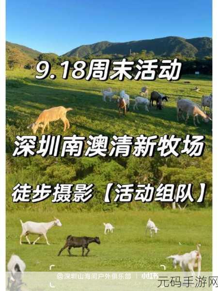 清新牧场冒险启程,小牛保卫战竖版闯关新体验等你来探索!