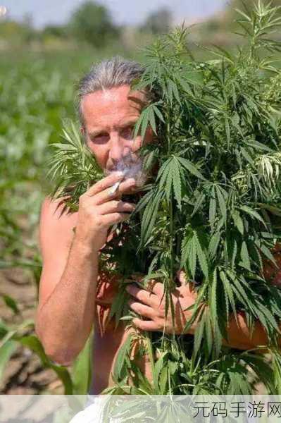 惊爆!大麻公司2,地下帝国无限金币版泄露,真实模拟毒品经营引热议
