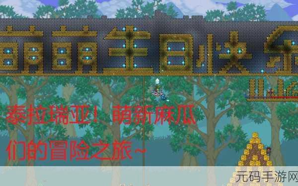 泰拉瑞亚，一家三口的温情之旅与幸福秘籍