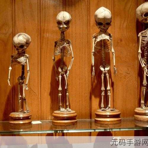 蠑螈奇趣世界，探索独一无二的育成游戏之旅