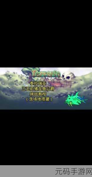 泰拉瑞亚,深入剖析小粉的神秘面纱与粉红史莱姆现身之谜