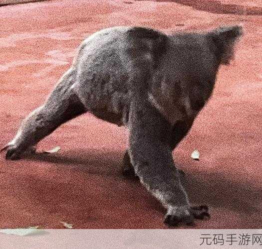 小猪下山探险记,萌翻你的益智休闲新选择现已登陆IOS