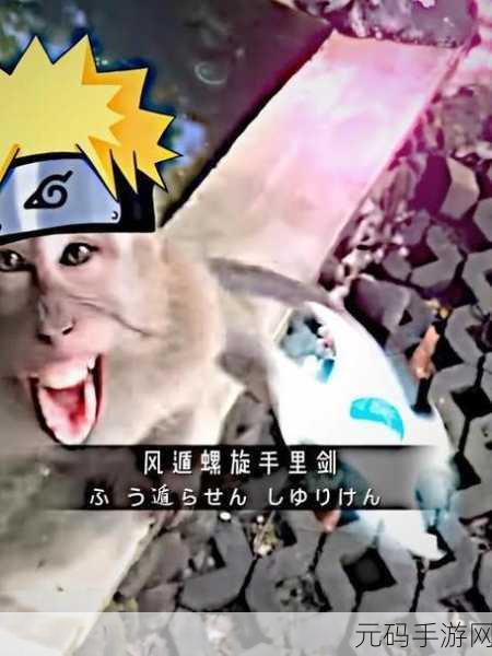 手里剑飞舞,敏捷挑战新纪元,手里剑击中竖版休闲闯关热爆来袭!