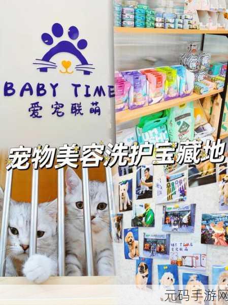 萌宠乐园新纪元，宠物旅馆Pets Hotel萌动上线，打造你的卡通养成梦