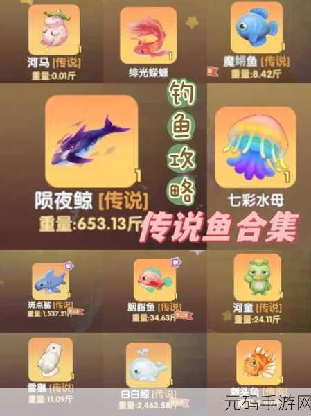 摩尔庄园手游精灵等级分布全解析及攻略秘籍