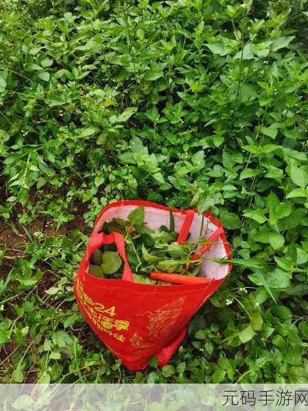 割草新风尚，休闲时光里的绿色治愈，割草弃之不顾掀起趣味模拟热潮