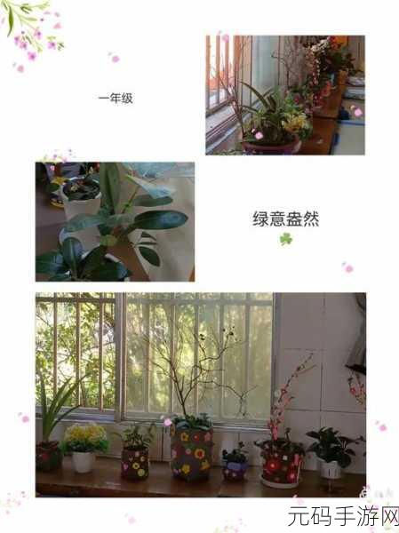 创意无限，绿意盎然，花盆手工制作模拟游戏风靡指尖