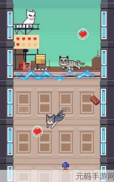 猫咪跳跃最新版火爆上线，休闲益智新选择