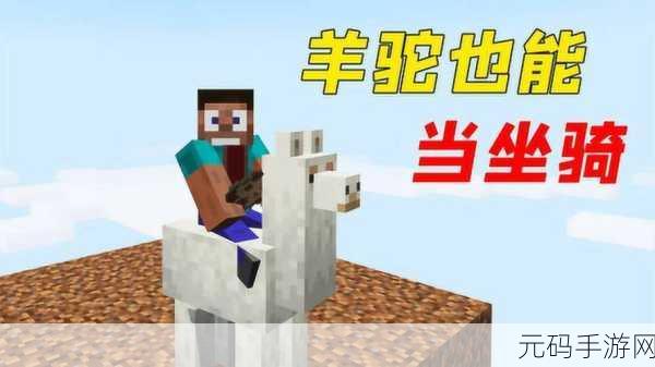 我的世界 iOS 国服羊驼驯服秘籍,轻松骑乘羊驼畅玩