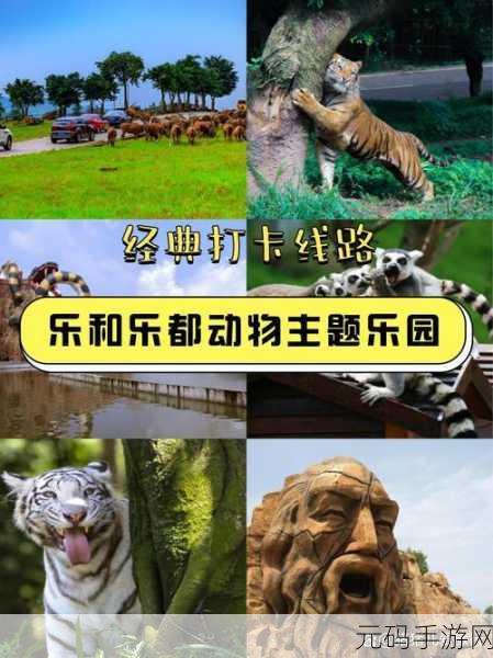 人群配对大挑战,解锁休闲娱乐新风尚,趣味闯关等你来战!