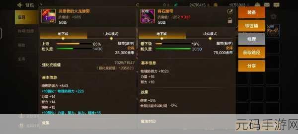 DNF 邻域之主传说装备价值大揭秘，你选对了吗？