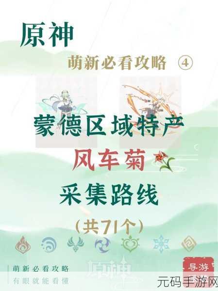 原神班尼特突破秘籍,风车菊采集全路线大揭秘