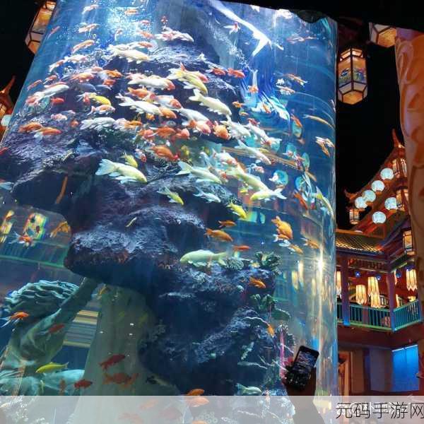 探索梦幻海底世界，我的小小水族馆等你来打造！