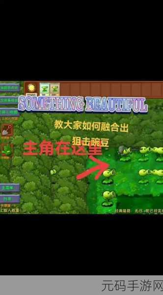 国寄像棋融合塔防新体验,无限金币版来袭,乐趣无穷!