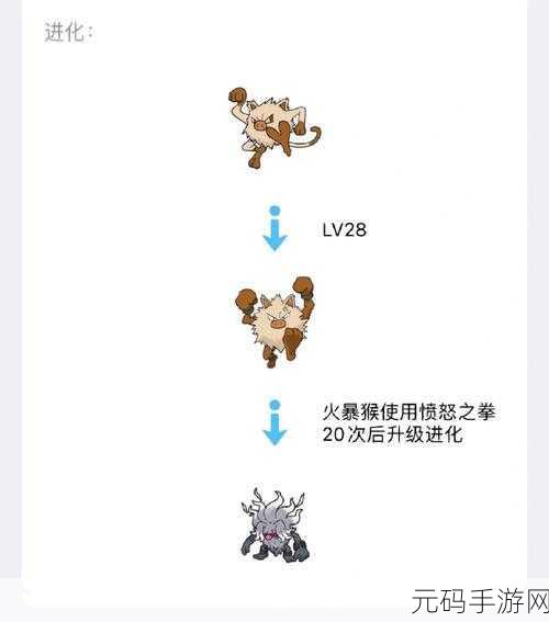 口袋妖怪复刻，麒麟奇种族值深度剖析与实战应用