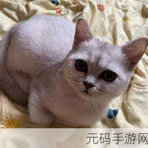 ---