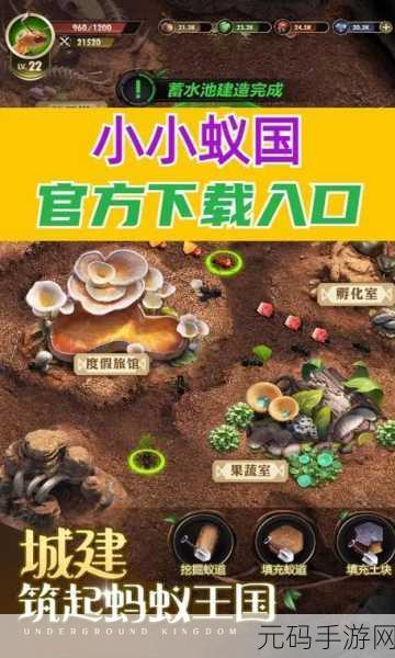小小蚁国抖音版震撼上线,探索微观世界的休闲策略之旅