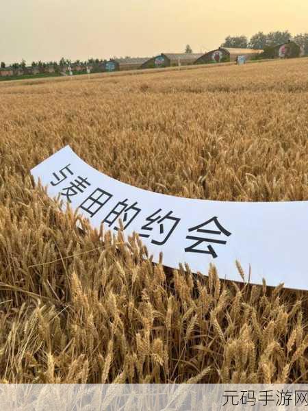 欢乐农场大作战,掀起全民在线收割麦子竞技狂潮