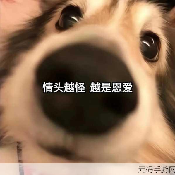 萌宠变身恋人!我的男友是条狗正式版上线,恶搞休闲新体验