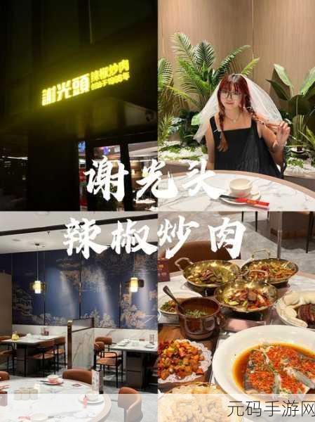 中华美食家震撼登场，文字冒险与味蕾盛宴的完美邂逅
