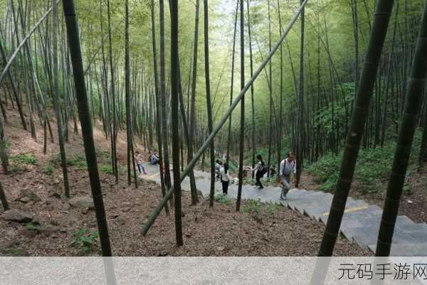 网红生活大揭秘，网红模拟器手机版下载，开启你的全新休闲之旅