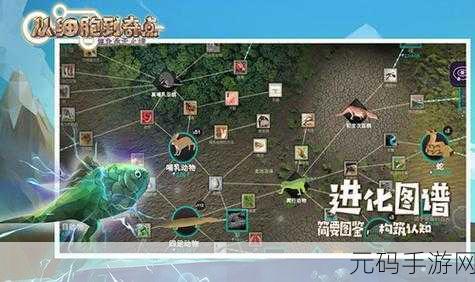 探索生命奥秘,从细胞到奇点最新版本下载火爆开启