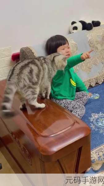萌宠集结，挑战无限！阿猫阿狗大挑战下载热潮席卷而来