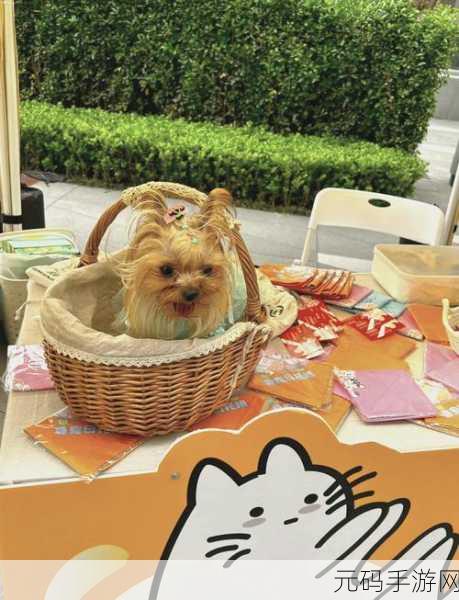 萌宠来袭!菲露茜斯宠物猫——治愈系养成新体验等你来探索
