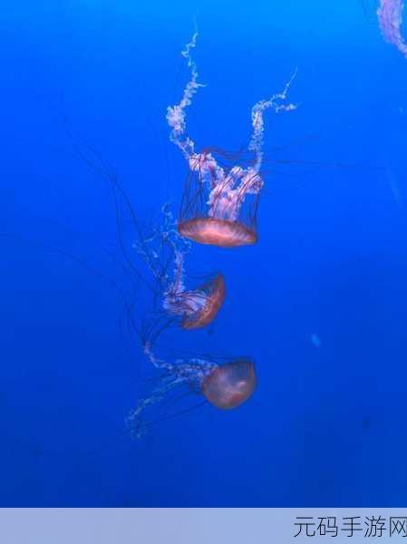 水族馆杀手风靡一时,体验在水族馆的射击冒险