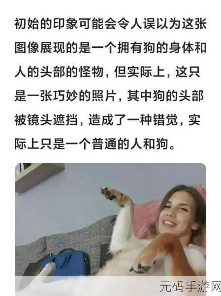 错觉视界安卓版震撼上线,解锁创意无限的冒险解谜新体验