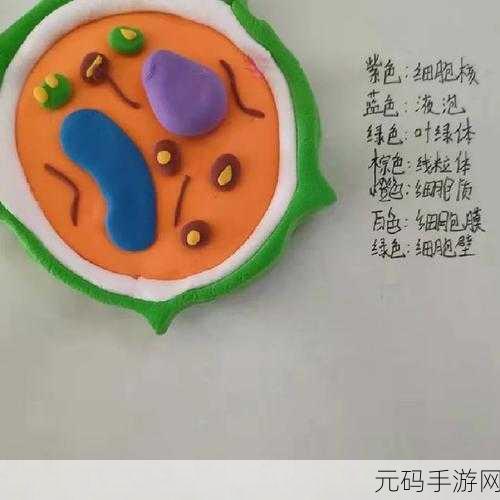 细胞奇遇记，生物细胞游戏带你探索微观世界的冒险之旅