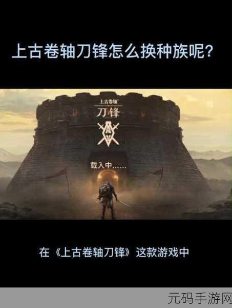上古卷轴,刀锋 精灵种族抉择秘籍 畅玩奇幻之旅