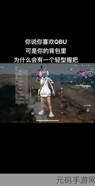 绝地求生手游中 MK12 的深度剖析与实战运用