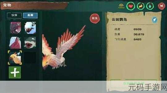 创造与魔法，探寻云斑鹦鸟必刷点的神秘之旅