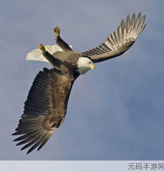 翱翔天际,战云密布 —— 飞机战争Aircraft Wargame,圆你蓝天霸主梦!