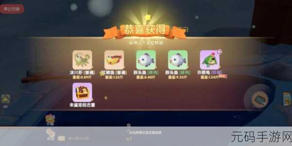 摩尔庄园手游许愿龟用途大揭秘 钓到之后惊喜无限