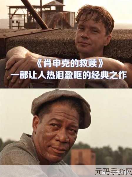 都市迷雾下的勇者传奇,城市逃生者的故事震撼上线