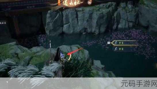 射雕手游,青竹梅收集秘籍 珍贵物品轻松拿 梦华录解锁指南