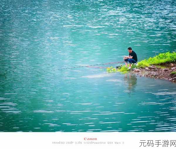 神仙道，解锁钓鱼等级之谜，沉浸悠然垂钓之旅