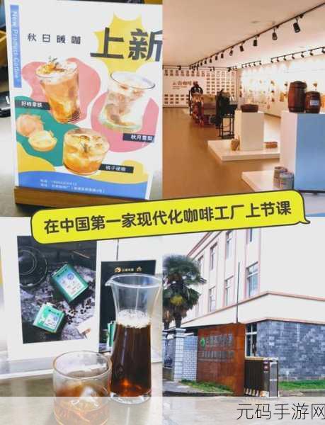 咖啡梦想启航,探索咖啡广场破解版免广告下载的奇妙之旅