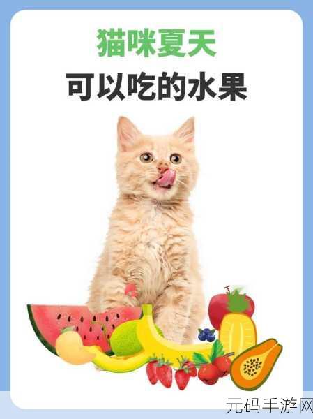 萌宠探险新纪元，猫咪吃遍世界手机版震撼上线，解锁休闲益智新乐趣！