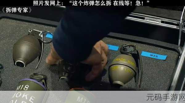 拆弹高手必备!拆弹能手手册带你领略多样益智挑战
