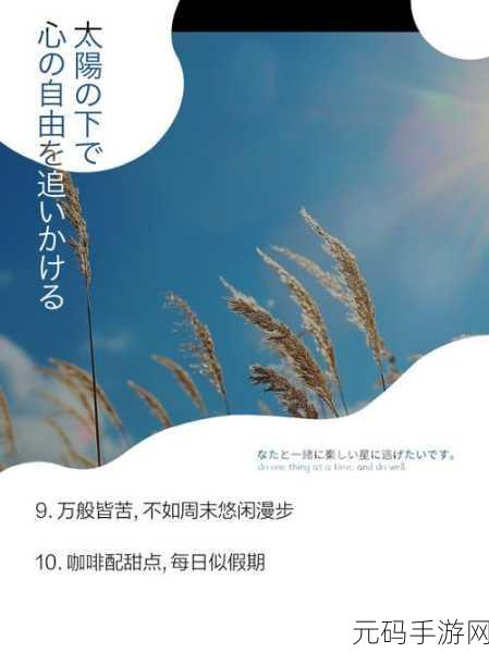 飞翔之光,点亮你的休闲时光,放置也能乐翻天!