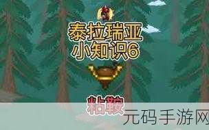 泰拉瑞亚 PE 捕捉史莱姆坐骑秘籍大公开