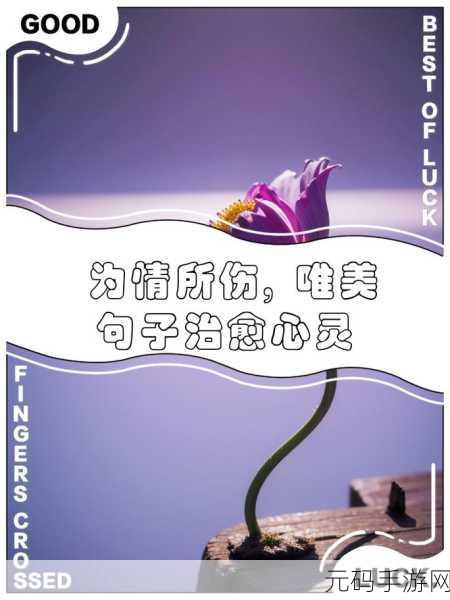 唯美治愈新选择，依旧在此Still Here安卓汉化版暖心上线